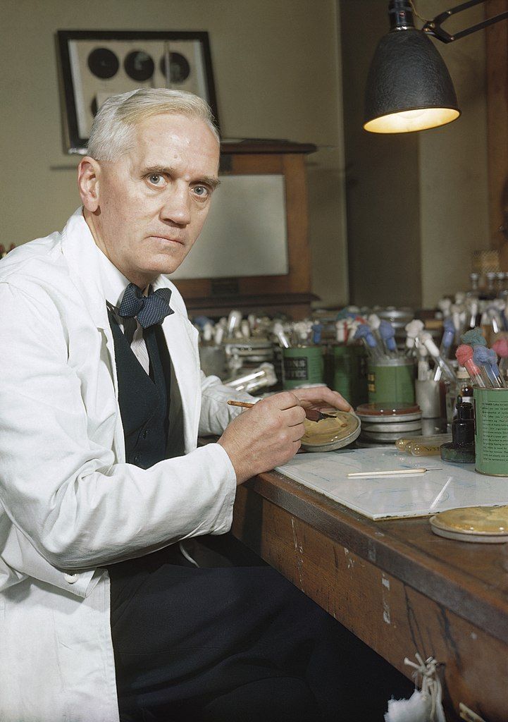Professor Alexander Fleming, holder of the Chair of Bacteriology at London University. Image IWM, TR 1468