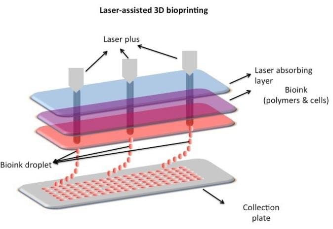 A diagram of a laser-assisted 3d bioprinting

Description automatically generated